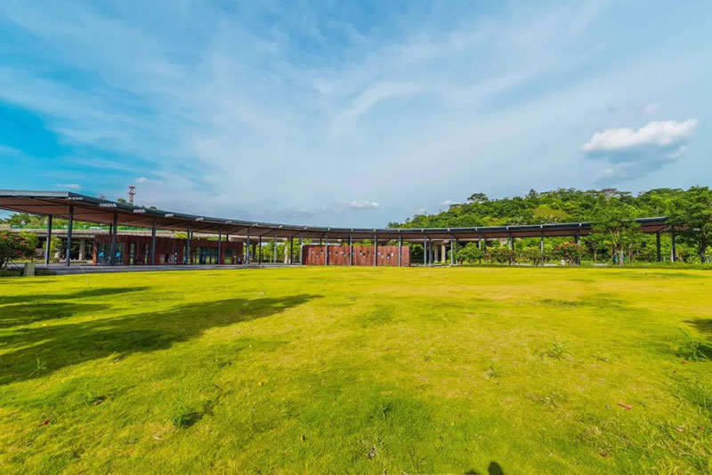 三山森林公園內由桃花江戶外竹材打造的多功能服務區(qū)